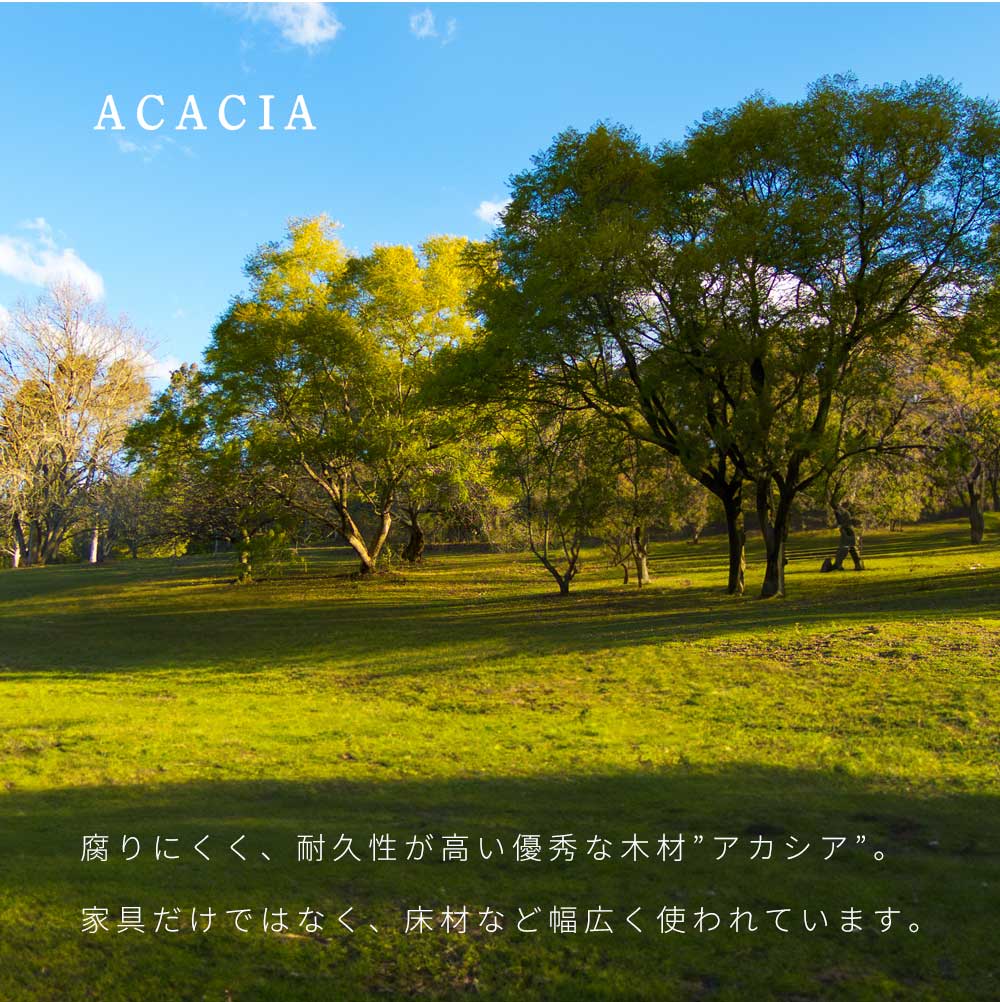 Grace ダイニング5点セット (180テーブル+150ベンチ+回転チェア3脚)